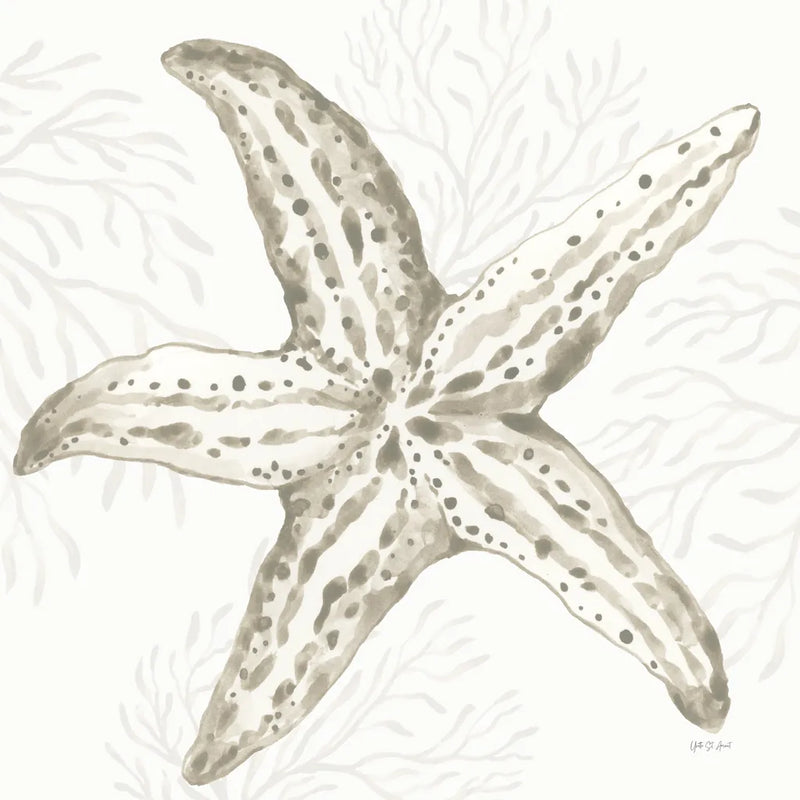 Coastal Reef III by Yvette St. Amant. SKU 94006a. Archival Giclee Fine art print for wall decor.