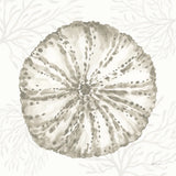 Coastal Reef IV by Yvette St. Amant. SKU 94007a. Archival Giclee Fine art print for wall decor.