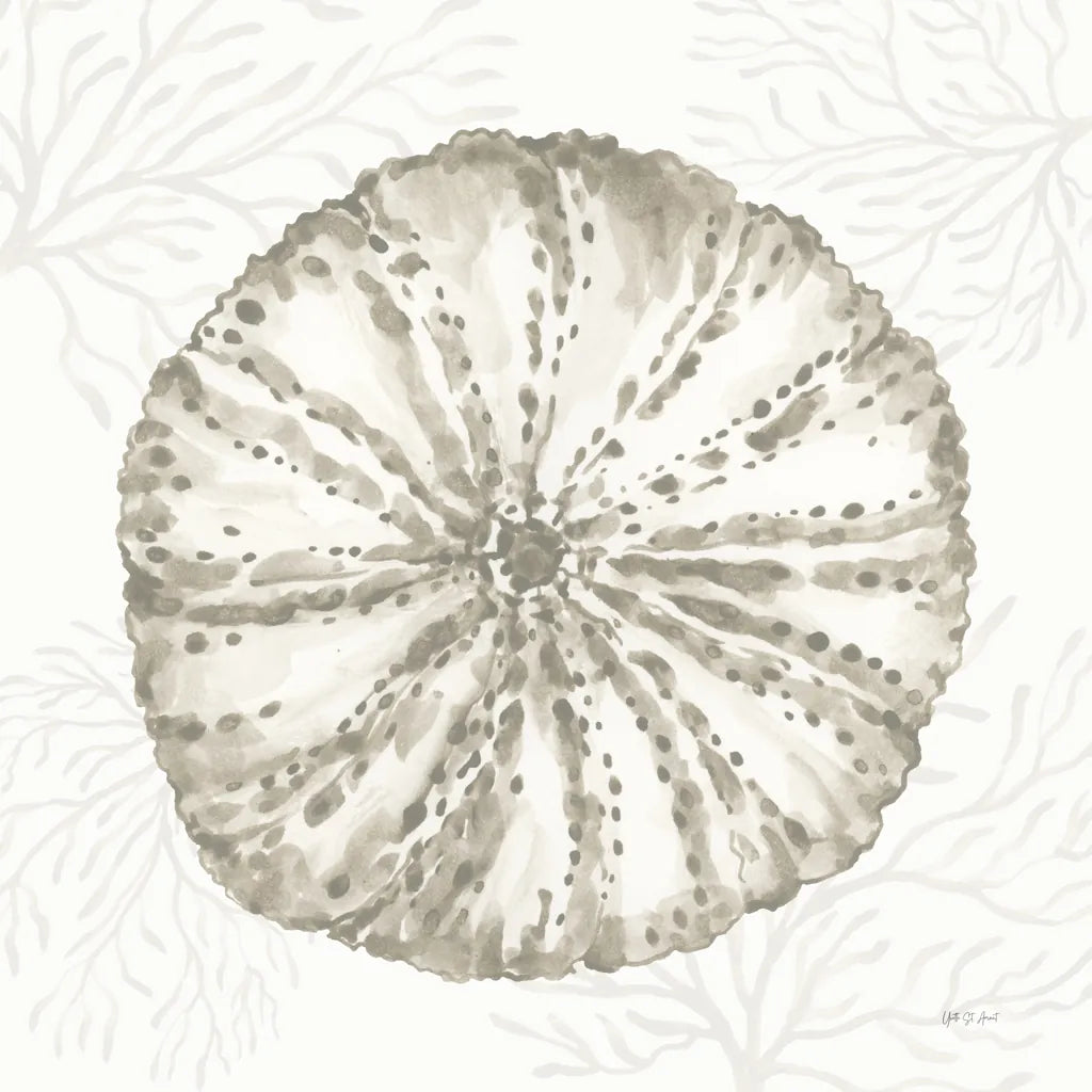 Coastal Reef IV by Yvette St. Amant. SKU 94007a. Archival Giclee Fine art print for wall decor.