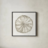 Coastal Reef IV by Yvette St. Amant. Shown in a sleek black glass frame for a contemporary gallery look. Available as an archival giclee rolled canvas, fine art paper, or poster print. SKU 94007a.