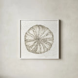 Coastal Reef IV by Yvette St. Amant. Shown in a crisp white glass frame for a clean and minimalist style. Available as an archival giclee rolled canvas, fine art paper, or poster print. SKU 94007a.