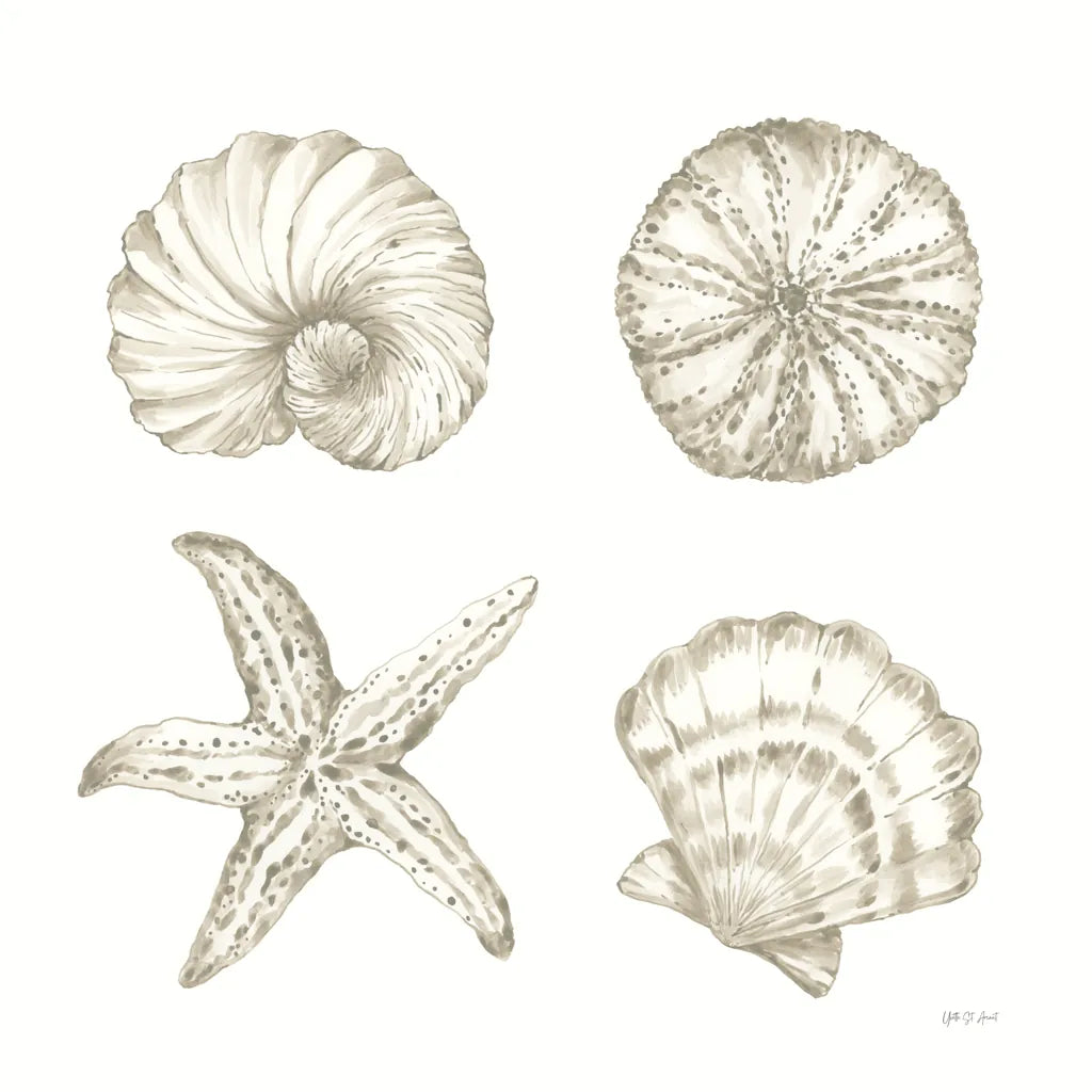 Coastal Reef IX by Yvette St. Amant. SKU 94012a. Archival Giclee Fine art print for wall decor.