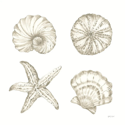 Coastal Reef IX by Yvette St. Amant. SKU 94012a. Archival Giclee Fine art print for wall decor.