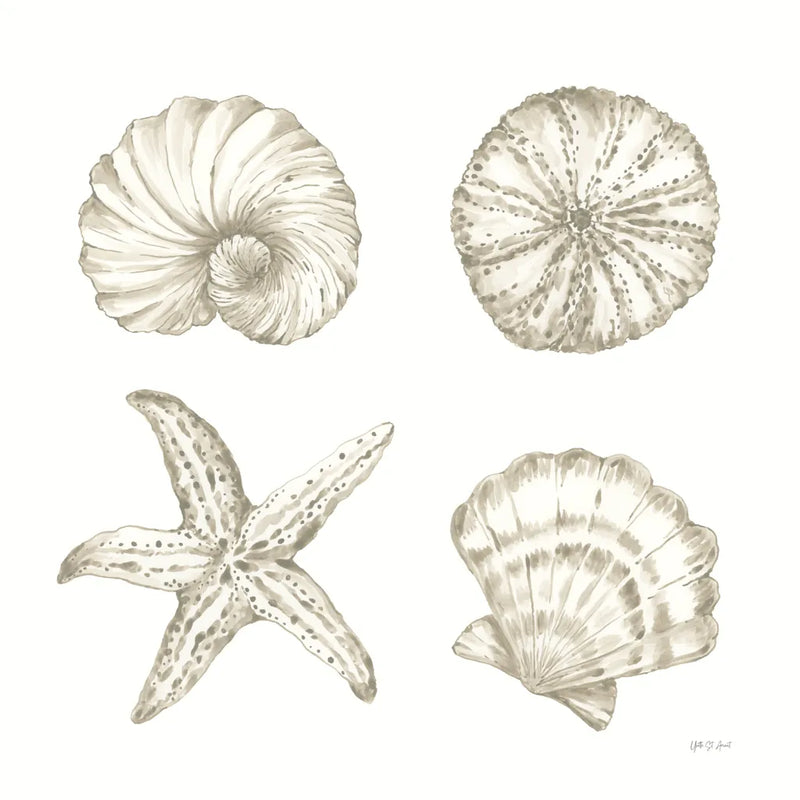 Coastal Reef IX by Yvette St. Amant. SKU 94012a. Archival Giclee Fine art print for wall decor.