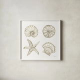 Coastal Reef IX by Yvette St. Amant. Shown in a crisp white glass frame for a clean and minimalist style. Available as an archival giclee rolled canvas, fine art paper, or poster print. SKU 94012a.