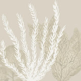 Coastal Reef V by Yvette St. Amant. SKU 94008a. Archival Giclee Fine art print for wall decor.