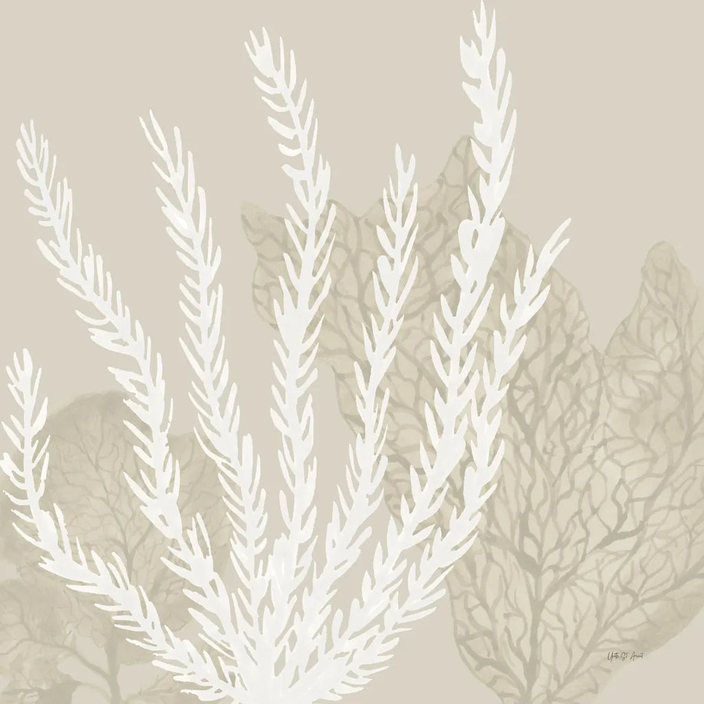 Coastal Reef V by Yvette St. Amant. SKU 94008a. Archival Giclee Fine art print for wall decor.