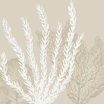 Coastal Reef V by Yvette St. Amant. SKU 94008a. Archival Giclee Fine art print for wall decor.