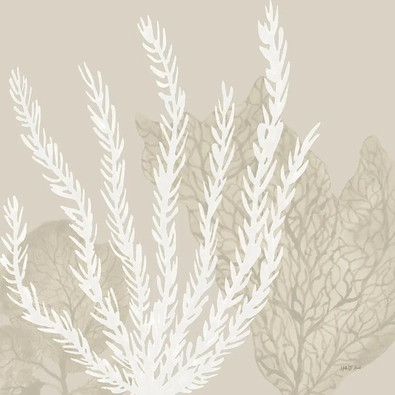Coastal Reef V by Yvette St. Amant. SKU 94008a. Archival Giclee Fine art print for wall decor.