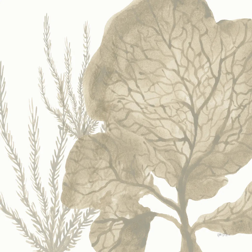 Coastal Reef VII by Yvette St. Amant. SKU 94010a. Archival Giclee Fine art print for wall decor.