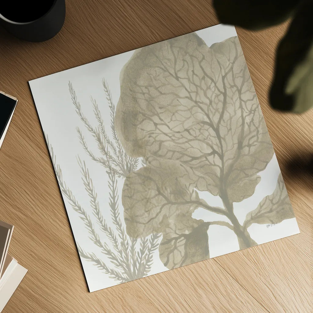 Coastal Reef VII by Yvette St. Amant. Shown as a detailed flat fine art print, highlighting archival giclee quality. Available as an archival giclee rolled canvas, fine art paper, or poster print. SKU 94010a.