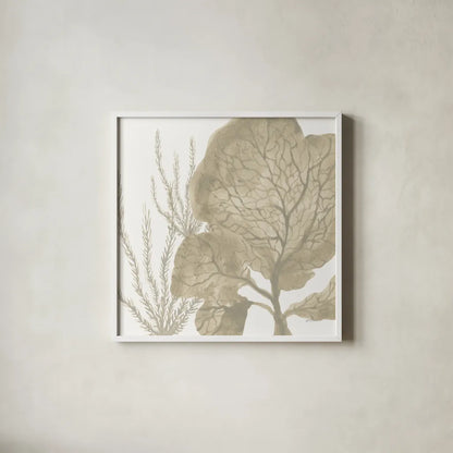 Coastal Reef VII by Yvette St. Amant. Shown in a crisp white glass frame for a clean and minimalist style. Available as an archival giclee rolled canvas, fine art paper, or poster print. SKU 94010a.