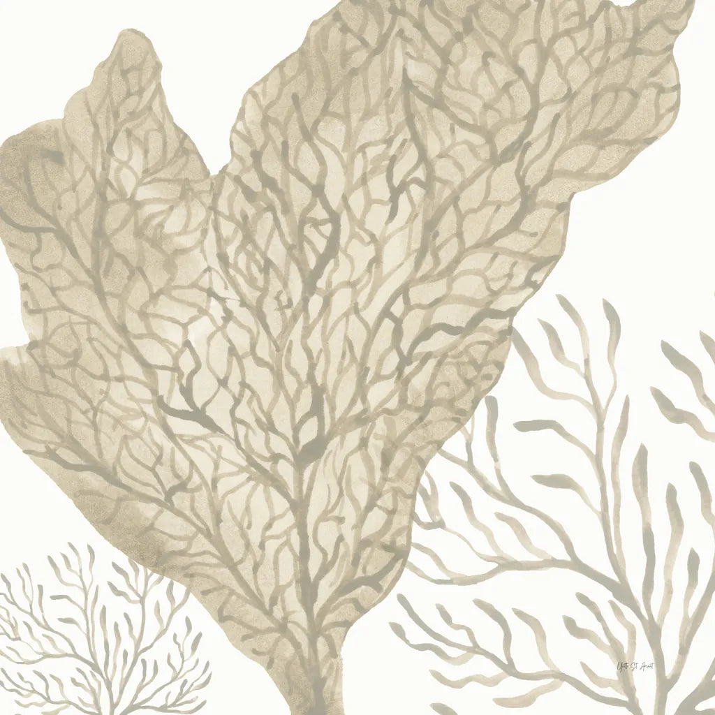 Coastal Reef VIII by Yvette St. Amant. SKU 94011a. Archival Giclee Fine art print for wall decor.