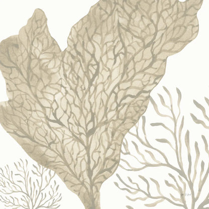 Coastal Reef VIII by Yvette St. Amant. SKU 94011a. Archival Giclee Fine art print for wall decor.