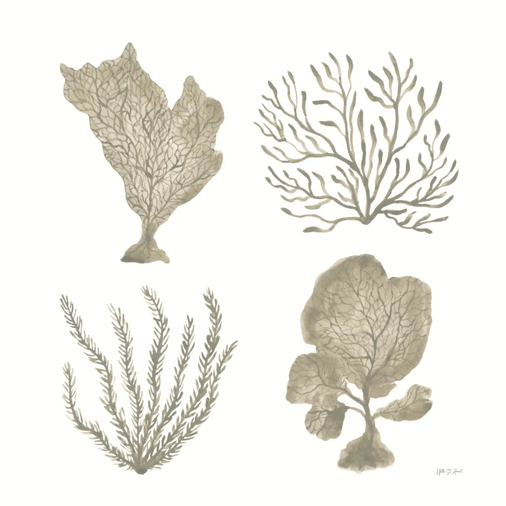 Coastal Reef X by Yvette St. Amant. SKU 94013a. Archival Giclee Fine art print for wall decor.