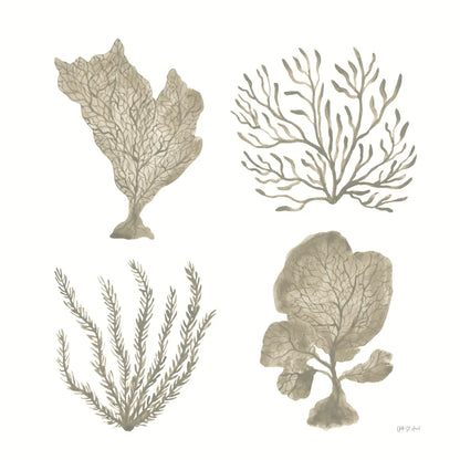 Coastal Reef X by Yvette St. Amant. SKU 94013a. Archival Giclee Fine art print for wall decor.