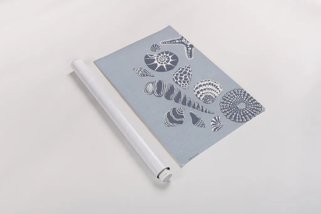 Coastal Shells I by Yvette St. Amant. shown as a rolled paper print. Available as archival giclee rolled canvas, fine art paper, or poster print. SKU 88368h.