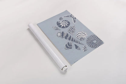 Coastal Shells I by Yvette St. Amant. shown as a rolled paper print. Available as archival giclee rolled canvas, fine art paper, or poster print. SKU 88368h.