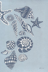 Coastal Shells II by Yvette St. Amant. SKU 88369h. Archival Giclee Fine art print for wall decor.