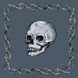 Enchantment XI by Yvette St. Amant. SKU 102729a. Archival Giclee Fine art print for wall decor.