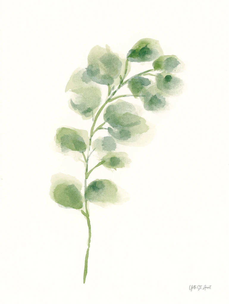 Eucalyptus I by Yvette St. Amant