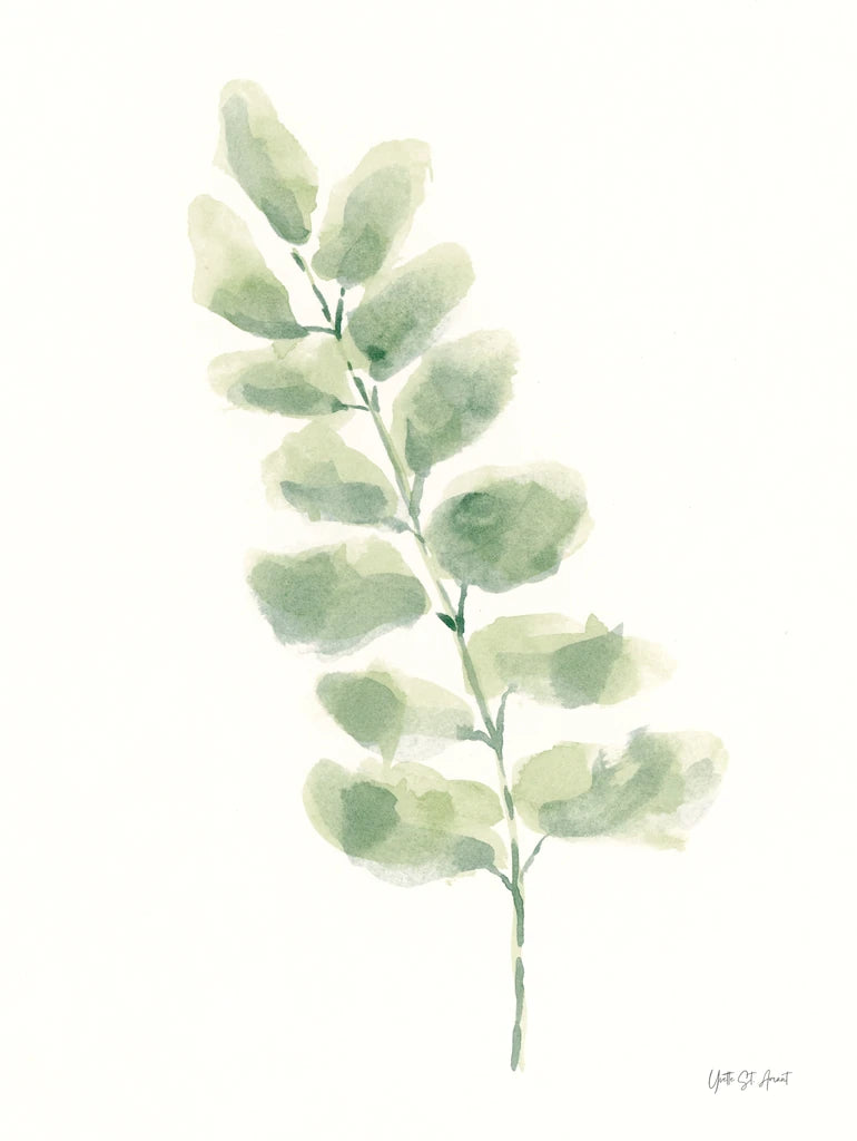 Eucalyptus II by Yvette St. Amant