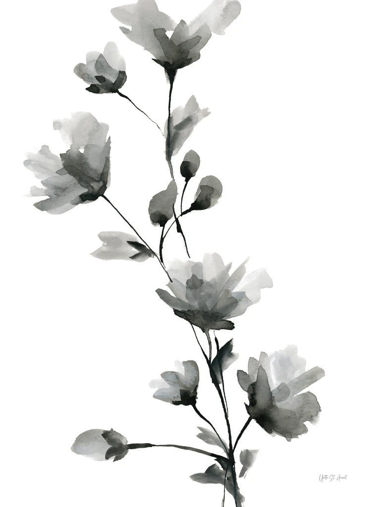 Fleur BW II by Yvette St. Amant