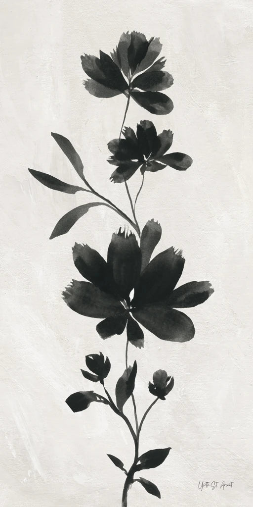 Floral Shadows I by Yvette St. Amant