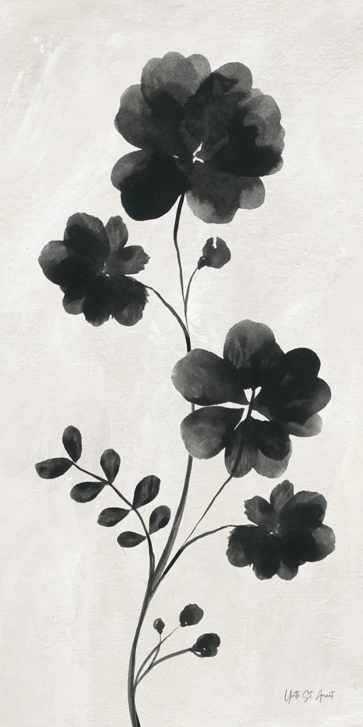 Floral Shadows II by Yvette St. Amant