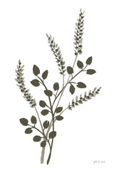 French Country Botanicals Neutral I by Yvette St. Amant. SKU 93717h. Archival Giclee Fine art print for wall decor.