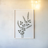 French Country Botanicals Neutral I by Yvette St. Amant. shown as a paper print in a white frame. Available as a archival giclee rolled canvas, fine art paper, or poster print. SKU 93717h.