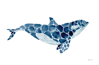 Killer Whale by Yvette St. Amant. SKU 90115i. Archival Giclee Fine art print for wall decor.