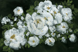 Midnight Roses by Yvette St. Amant. SKU 89385i. Archival Giclee Fine art print for wall decor.