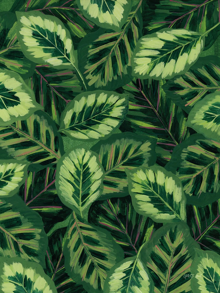 My Maranta by Yvette St. Amant