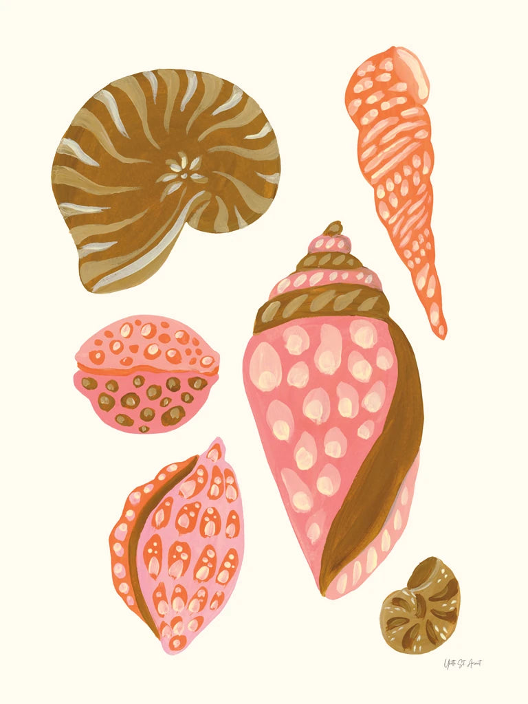My Tropical Shell Collection I by Yvette St. Amant