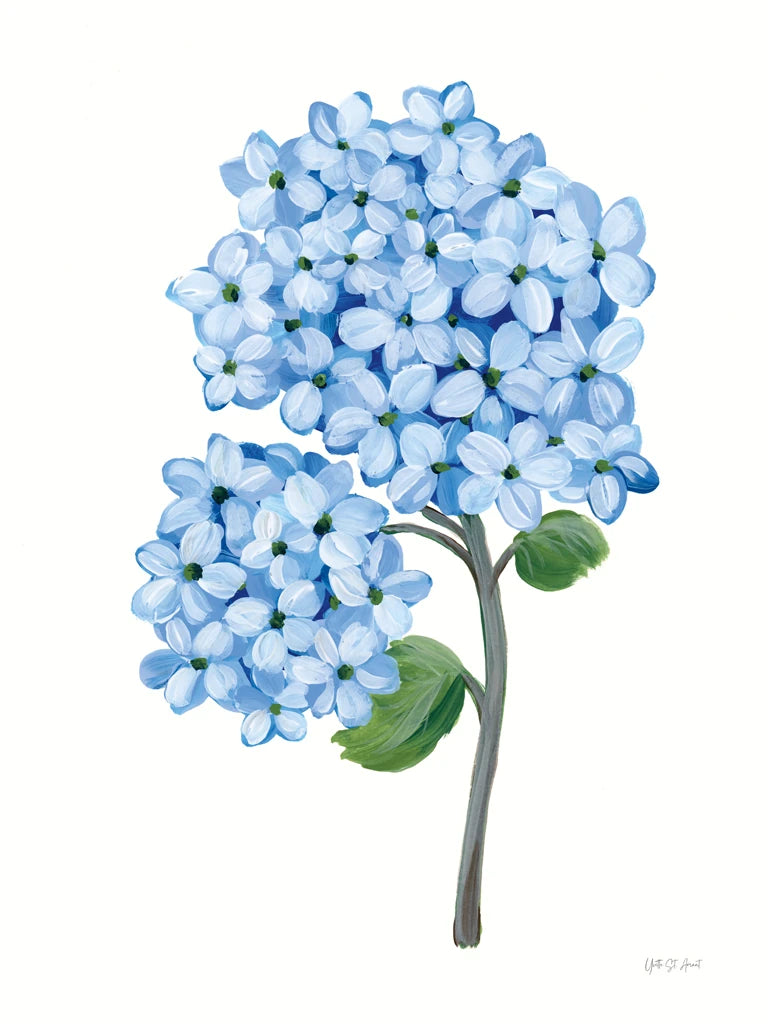 Nantucket Blue Hydrangea II by Yvette St. Amant