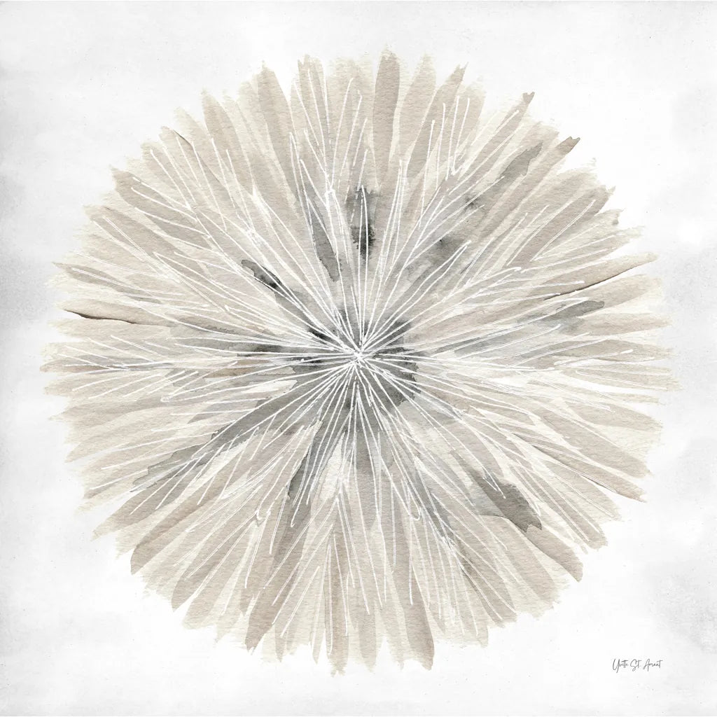 Natures Pinwheel I Texture by Yvette St. Amant. SKU 90053a. Archival Giclee Fine art print for wall decor.