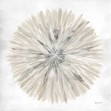 Natures Pinwheel I Texture by Yvette St. Amant. SKU 90053a. Archival Giclee Fine art print for wall decor.