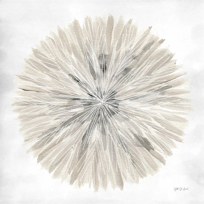 Natures Pinwheel I Texture by Yvette St. Amant. SKU 90053a. Archival Giclee Fine art print for wall decor.