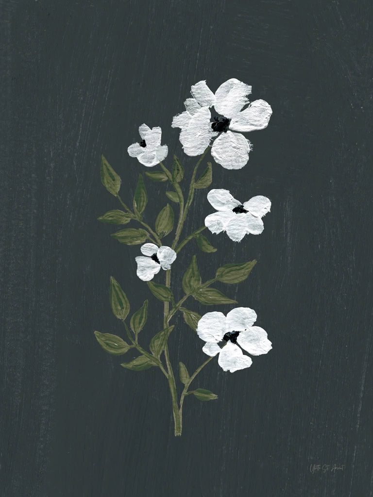 Pretty Little Flower III Black by Yvette St. Amant
