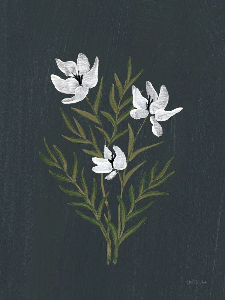Pretty Little Flower IV Black by Yvette St. Amant