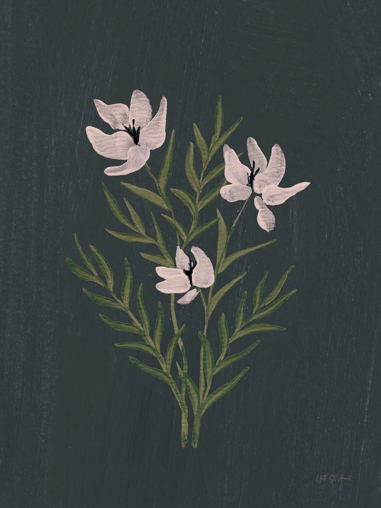Pretty Little Flower IV Black v2 by Yvette St. Amant