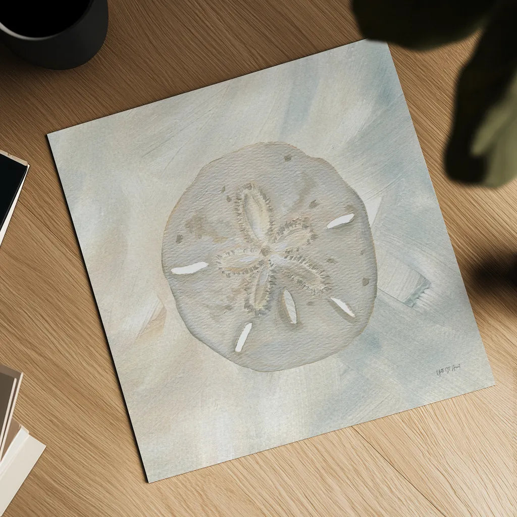 Sandollar I by Yvette St. Amant. Shown as a detailed flat fine art print, highlighting archival giclee quality. Available as an archival giclee rolled canvas, fine art paper, or poster print. SKU 88517a.