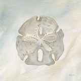 Sandollar II by Yvette St. Amant. SKU 88518a. Archival Giclee Fine art print for wall decor.