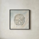 Sandollar II by Yvette St. Amant. Shown in a sleek black glass frame for a contemporary gallery look. Available as an archival giclee rolled canvas, fine art paper, or poster print. SKU 88518a.
