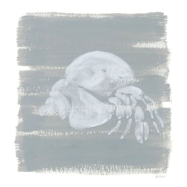 Soft Sea Hermit Crab by Yvette St. Amant. SKU 89998a. Archival Giclee Fine art print for wall decor.