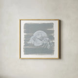 Soft Sea Hermit Crab by Yvette St. Amant. Shown in a natural wood glass frame for a timeless modern aesthetic. Available as an archival giclee rolled canvas, fine art paper, or poster print. SKU 89998a.