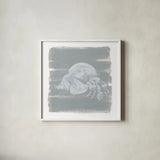 Soft Sea Hermit Crab by Yvette St. Amant. Shown in a crisp white glass frame for a clean and minimalist style. Available as an archival giclee rolled canvas, fine art paper, or poster print. SKU 89998a.