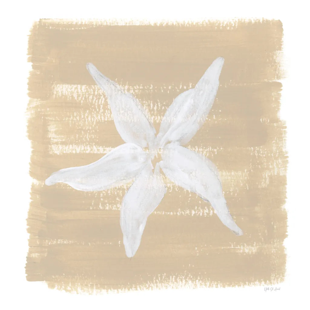 Soft Sea Starfish by Yvette St. Amant. SKU 90001a. Archival Giclee Fine art print for wall decor.