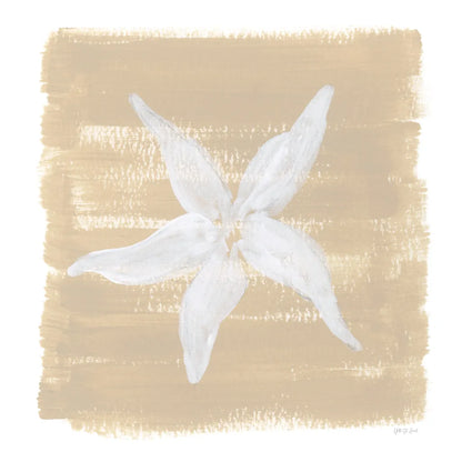 Soft Sea Starfish by Yvette St. Amant. SKU 90001a. Archival Giclee Fine art print for wall decor.